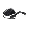 SOURIS FILAIRE NOIRE TNB