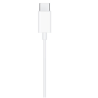 APPLE ECOUTEURS EARPODS USB C