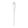 CABLE LIGHTNING 2M APPLE