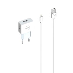 Chargeur mural + Câble Lightning 1,2m