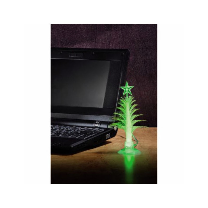 SAPIN USB