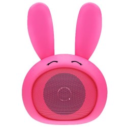 ENCEINTE CUTIE ROSE  350