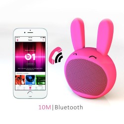 ENCEINTE CUTIE ROSE  350