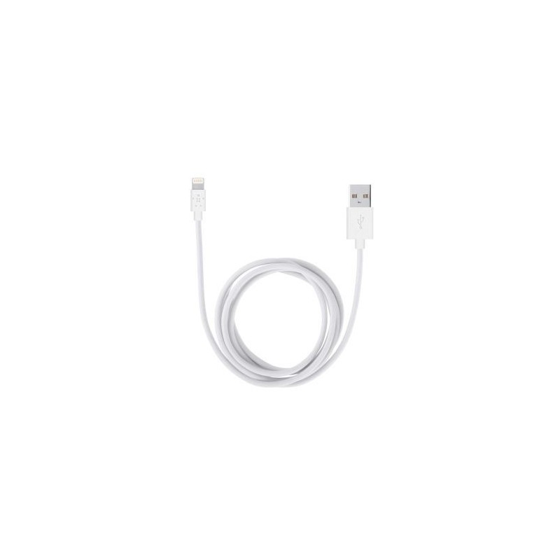CABLE LIGHTNING 1M BLANC BELKIN