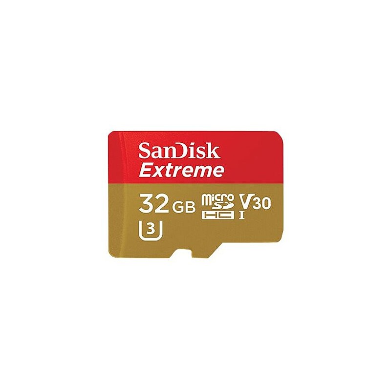 Carte Mémoire 32 Go SanDisk SDSQXVF-032G-GN6AA