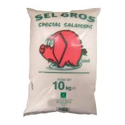 GROS SEL SALAISON SALINOR 10KG