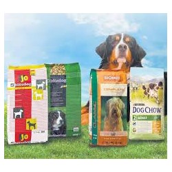 CROQUET.CHIEN BF DAX PXM 15KG