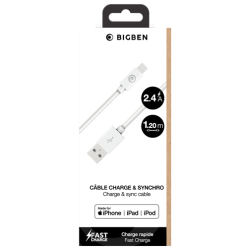 Câble de Charge Bigben...