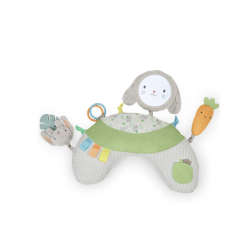 Coussin d'activités Sylvi™