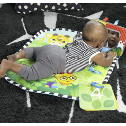 Tapis d'eau et coussin...