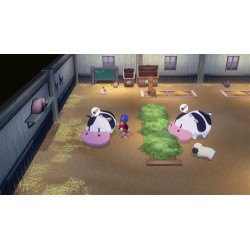 Story of Seasons Grand Bazaar