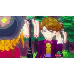 Story of Seasons Grand Bazaar