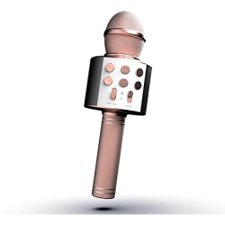 MICRO KARAOKE PINK GOLD