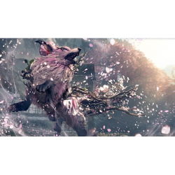 WIld Hearts S (NINTENDO SWITCH 2)