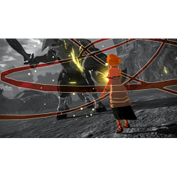 Hyrule Warriors : Les Chroniques du Sceau (NINTENDO SWITCH 2)