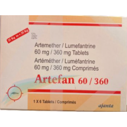 ARTEFAN 60/360 CP B/6