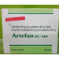 ARTEFAN 80/480 CP B/6
