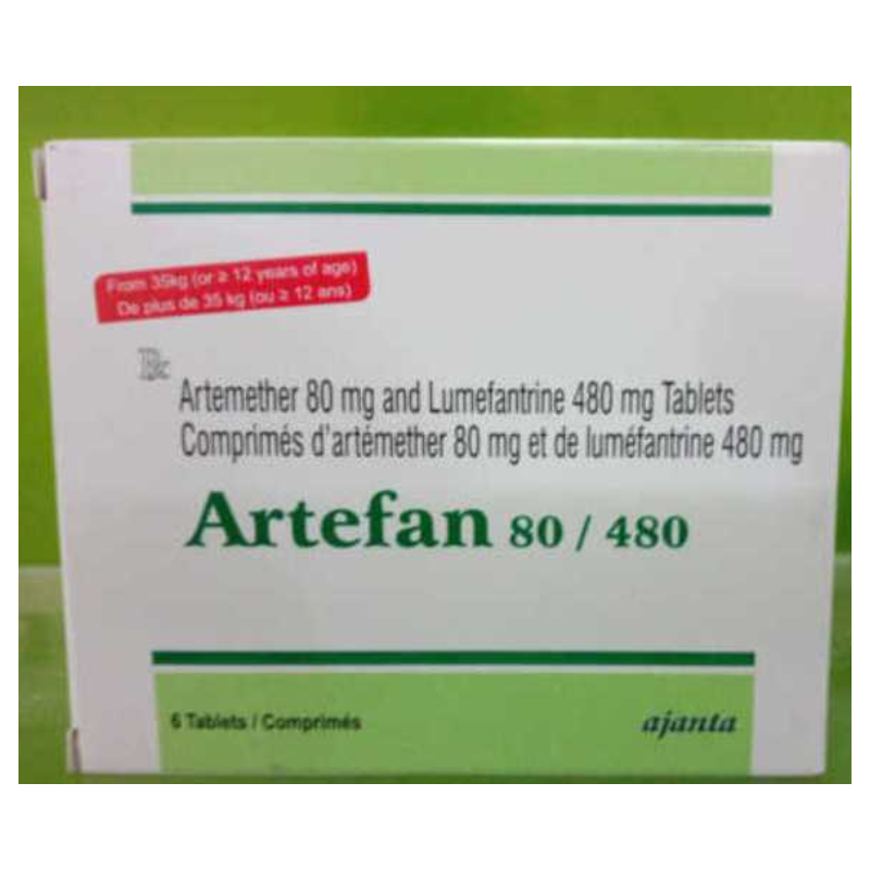 ARTEFAN 80/480 CP B/6
