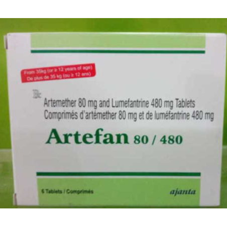 ARTEFAN 80/480 CP B/6