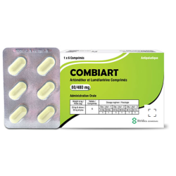 COMBIART COMP 80/480 B/6