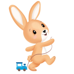 PICOT PEPTI-JUN C S/L FRA100G4