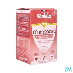 MODILAC MUMBOOST GELUL 60