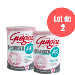 Guigoz Expert AR 2ème âge
