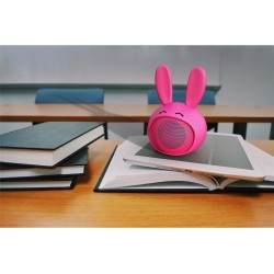 ENCEINTE CUTIE ROSE  350