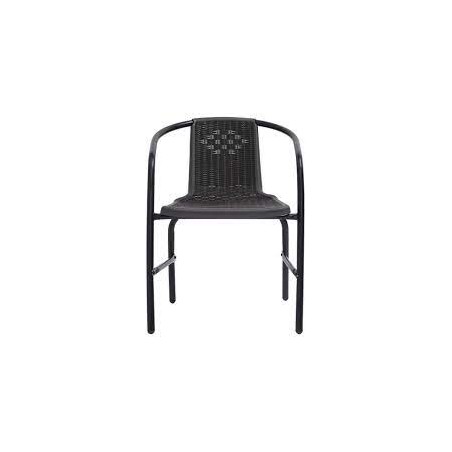 Chaises de jardin lot de 2 Plastique Rotin et acier 110 kg