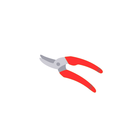 Sécateur Solid P321 Lame Franche